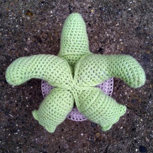 Crochet Turtle Puzzle Pattern