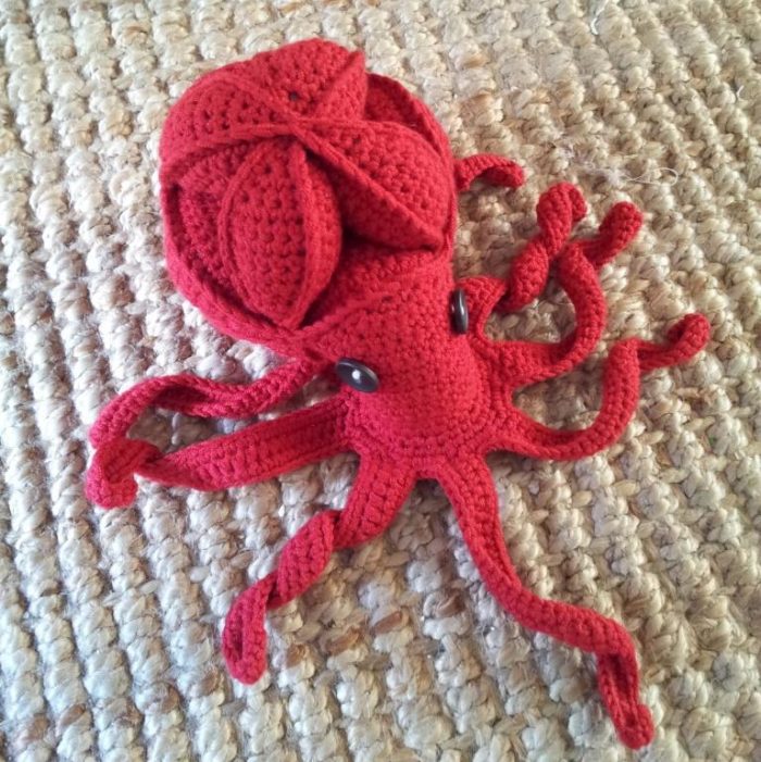 Crochet Octopus Puzzle Pattern (Amamani)