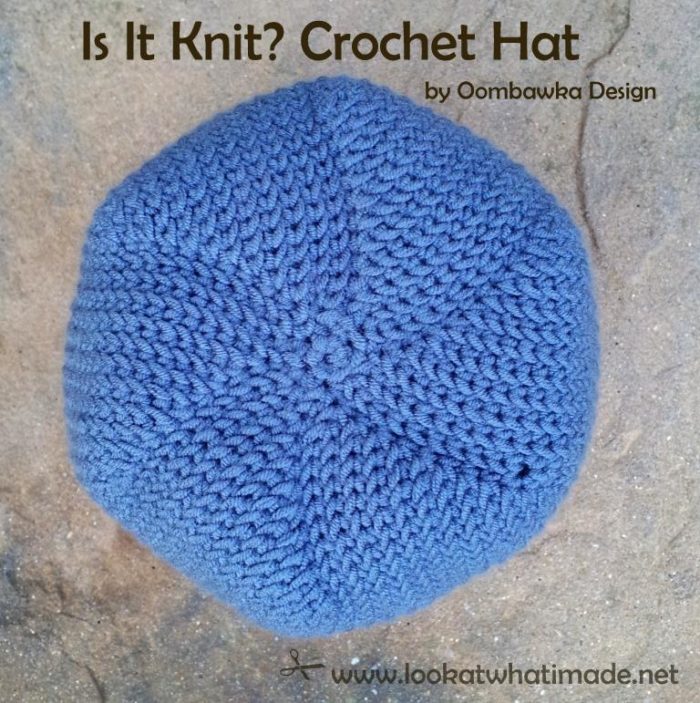 Is it Knit? Crochet Hat