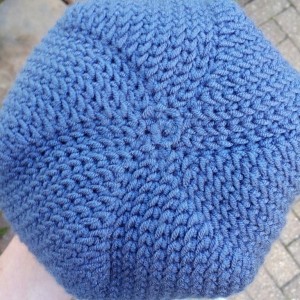 Is it Knit? Crochet Hat