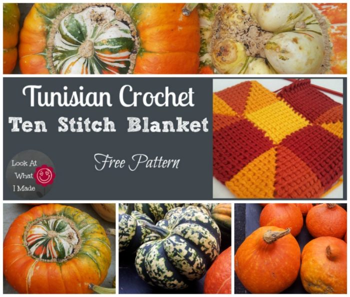 Tunisian Crochet Ten Stitch Blanket Pattern Fall