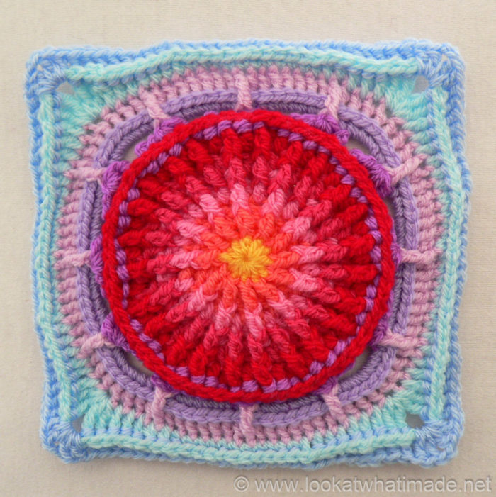 Prince Protea Square Photo Tutorial and Pattern