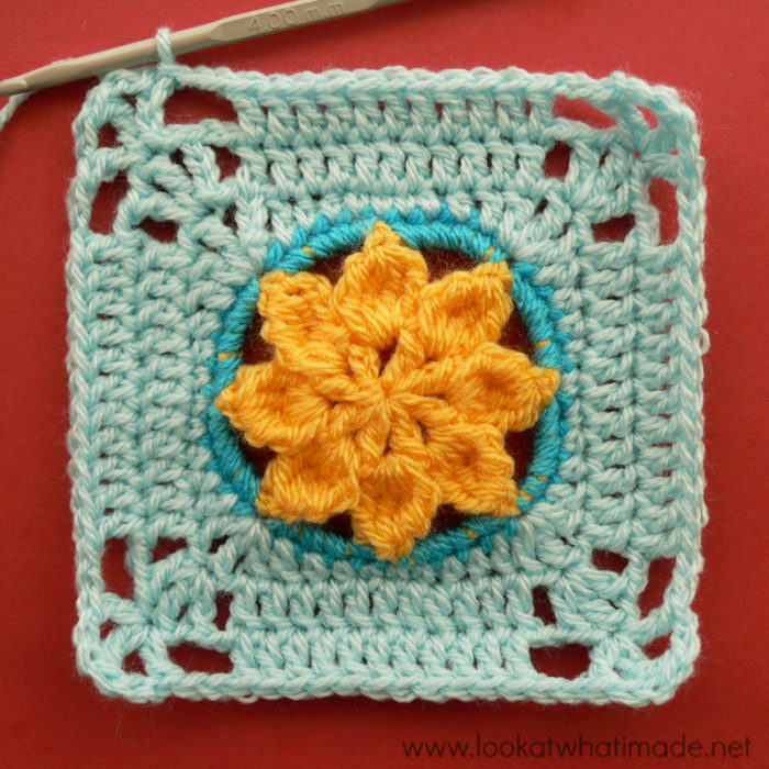 Princess Square Photo Tutorial Crochet Along
