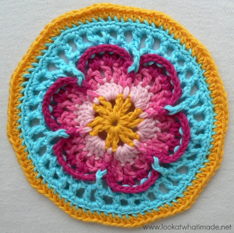 Sophie’s Universe Part 1 {CAL 2015}