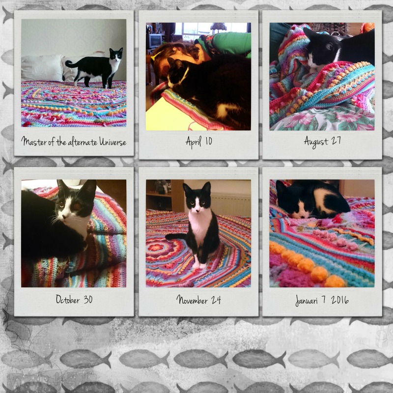 Sophie's Alternate Universe Crochet Pattern