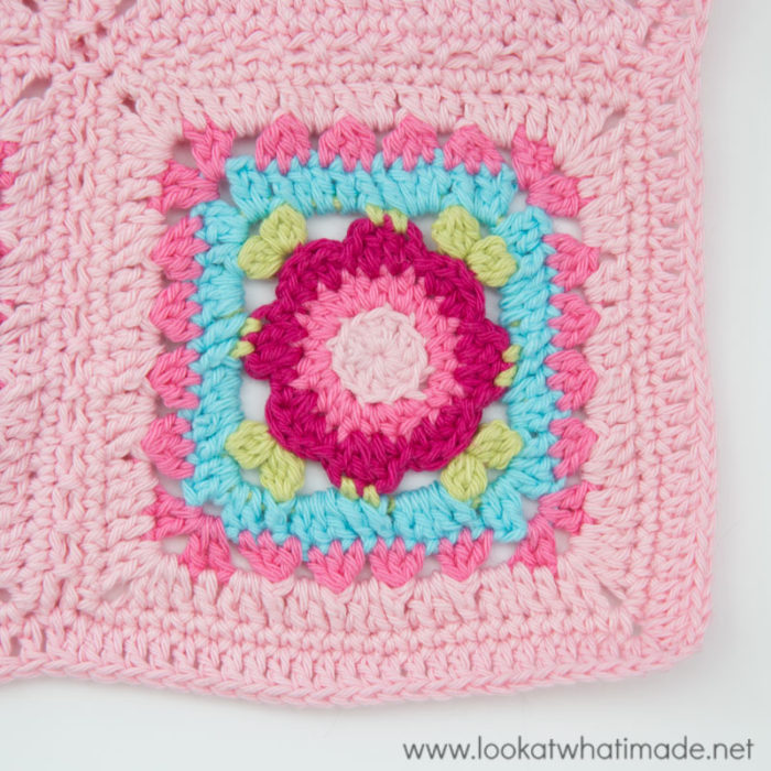 How to Crochet Rose Border