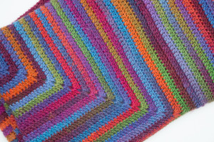 Joy's Journey Continuous Crochet Blanket