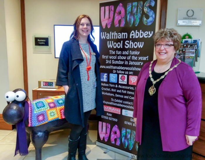 Waltham Abbey Wool Show 2017