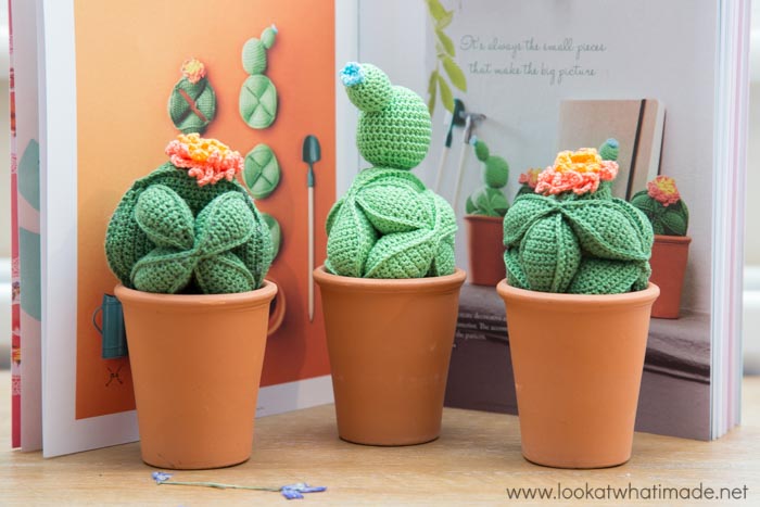 YARN 3 Tropical Edition Cactus Puzzle Balls