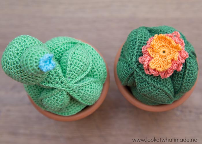 YARN 3 Tropical Edition Cactus Puzzle Balls