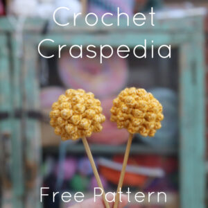 crochet craspedia free crochet pattern with charts and video